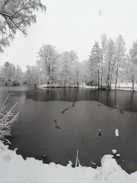 Stadtpark Reichenbach/Vogtland-3