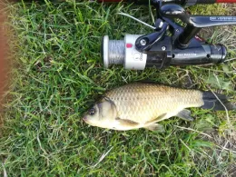 Redder Teiche (Harsefeld)-1