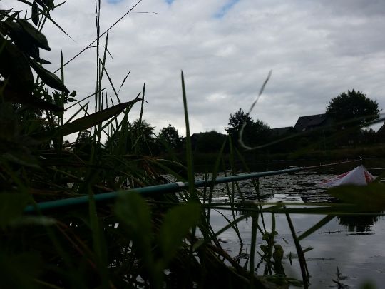 Redder Teiche (Harsefeld)-2