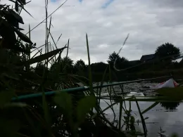 Redder Teiche (Harsefeld)-2