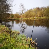 Wulferskuhle (Lachendorf)-1