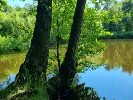 Wulferskuhle (Lachendorf)-2