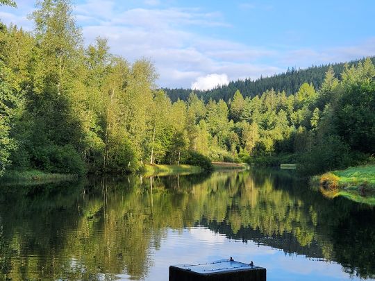 Langenbrunnenweiher-1