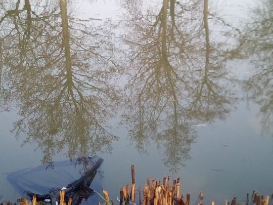Vereinsgewässer ASV Bodenheim angeln