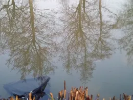 Vereinsgewässer ASV Bodenheim