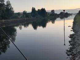 Silokanal (Brandenburg/Havel)-1