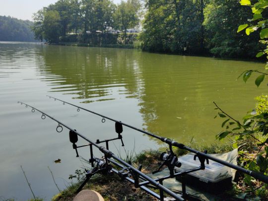 Hammersee (Bodenwöhr)-2