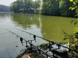 Hammersee (Bodenwöhr)-2