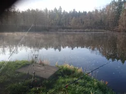 Hammersee (Bodenwöhr)-4