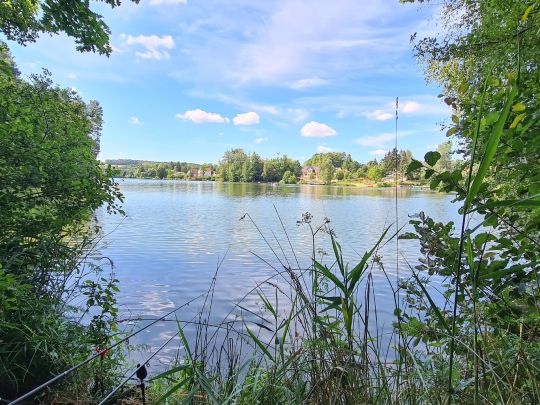Hammersee (Bodenwöhr)-3