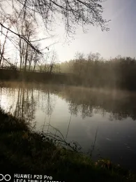 Hammersee (Bodenwöhr)-1