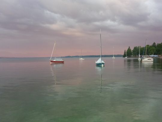 Starnberger See angeln