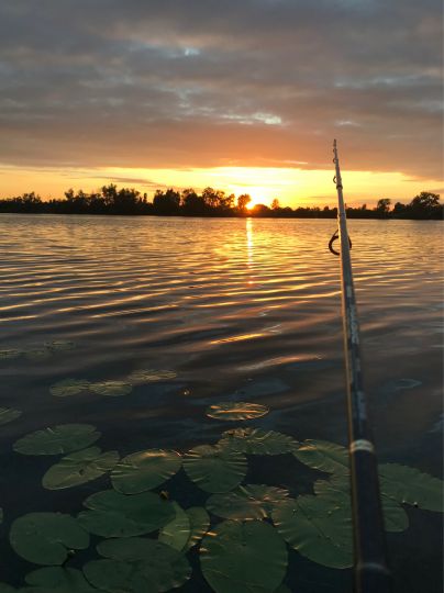 Altrheinsee (Eich)-1