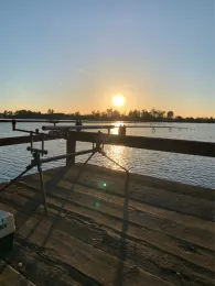 Altrheinsee (Eich)-2