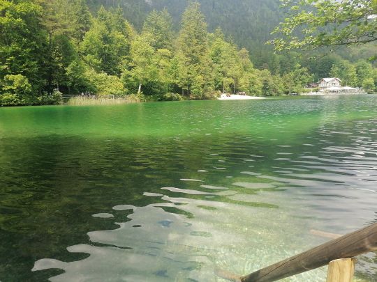 Thumsee-2