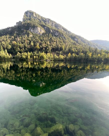 Thumsee-1