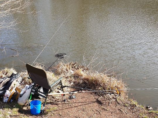 Holzmühlenteich (Flechtingen)-3