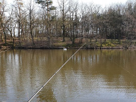 Holzmühlenteich (Flechtingen)-4