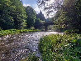 Zschopau (Scharfenstein)-1