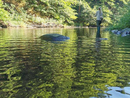 Zschopau (Scharfenstein)-2