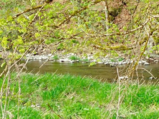 Zschopau (Scharfenstein)-3