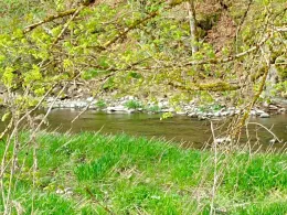 Zschopau (Scharfenstein)-3