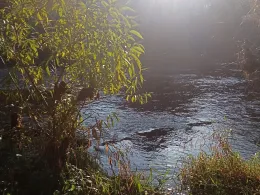 Zschopau (Scharfenstein)