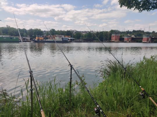 Neckar (Wernau/Neckar)-1