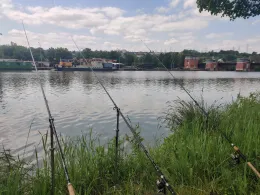 Neckar (Wernau/Neckar)-1