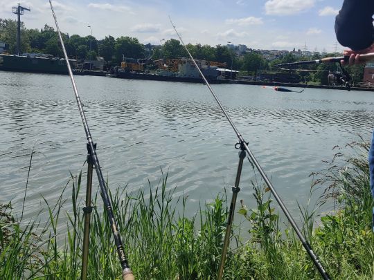 Neckar (Wernau/Neckar)