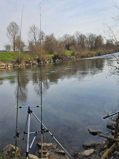 Neckar (Wernau/Neckar)-2