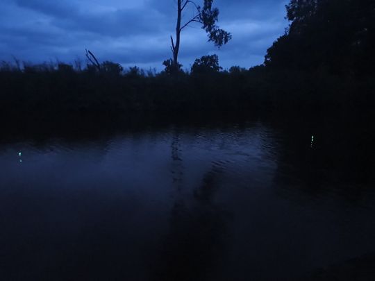 Elde (Neustadt-Glewe)-1