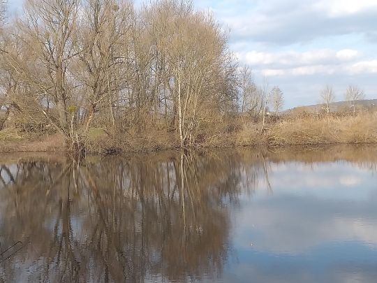 Baggerteich Naumburg-1