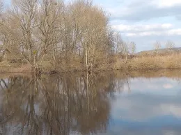 Baggerteich Naumburg-1