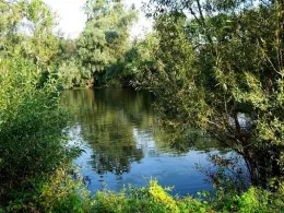 Baggerteich Naumburg