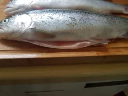 Inn-Altwasser (Flintsbach am Inn)