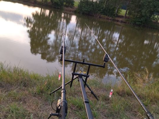 Frauenweiher (Kleinwinklarn)-1