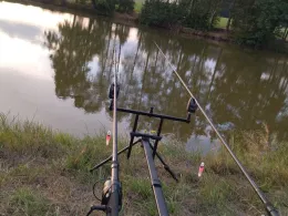 Frauenweiher (Kleinwinklarn)-1