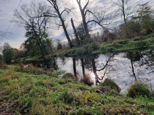 Ohre (Miesterhorst)-1