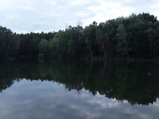 Neue Grube (Bornsdorf)