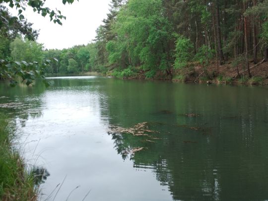 Neue Grube (Bornsdorf)-1
