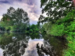 Hufeisenkolk (Müden)