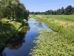 Hessel (Sassenberg)-3