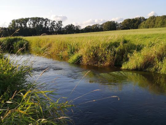 Ohlau (Lentföhrden)