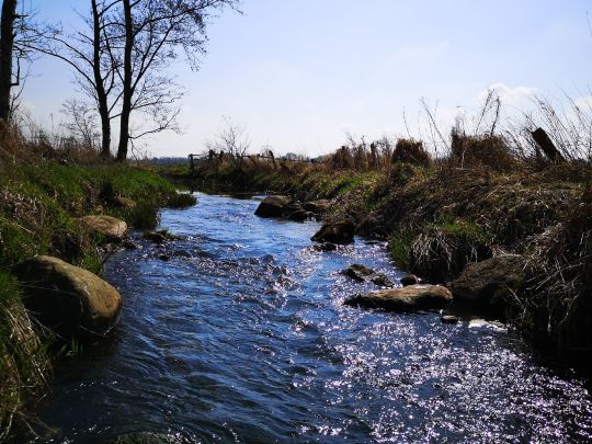 Ohlau (Lentföhrden)-2