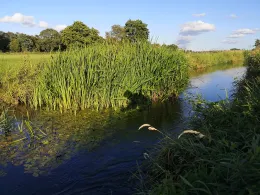 Ohlau (Lentföhrden)-1