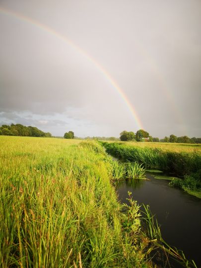 Ohlau (Lentföhrden)-3