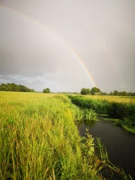 Ohlau (Lentföhrden)-3