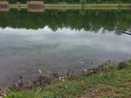 Münchfeldsee-4