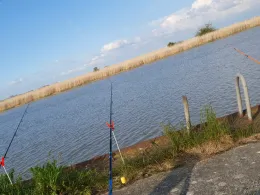 Ruthenstrom Krautsand